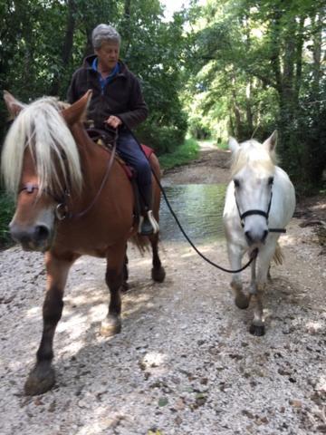 Holiday home D'ayran Saint-Quentin-la-Poterie